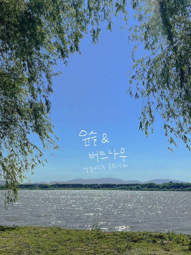 오월은 피크닉 계절: 부산 피크믹