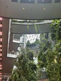 Jewel Changi ที่เดียว…ว้าวทั้งทริป!
