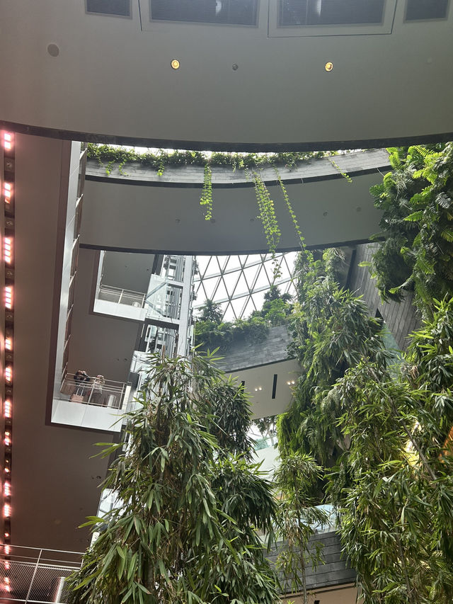 Jewel Changi ที่เดียว…ว้าวทั้งทริป!