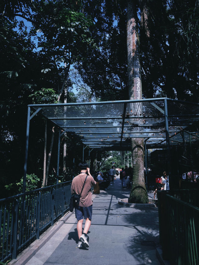 香港🇭🇰 市區免費的動植物公園？