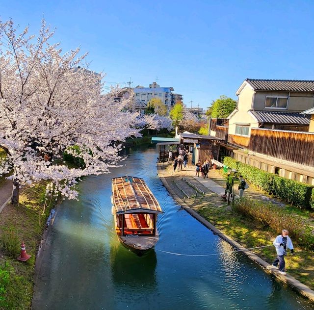 Tranquil Beauty on the Fushimi Jikkokubune Boat, Kyoto