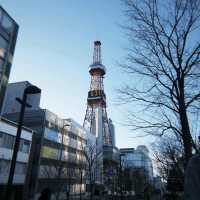Sakura Blooming in Sapporo: A Springtime Wonderland
