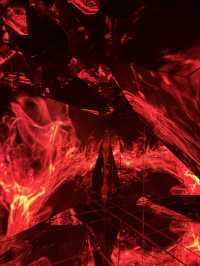 日本東京Teamlab Borderless