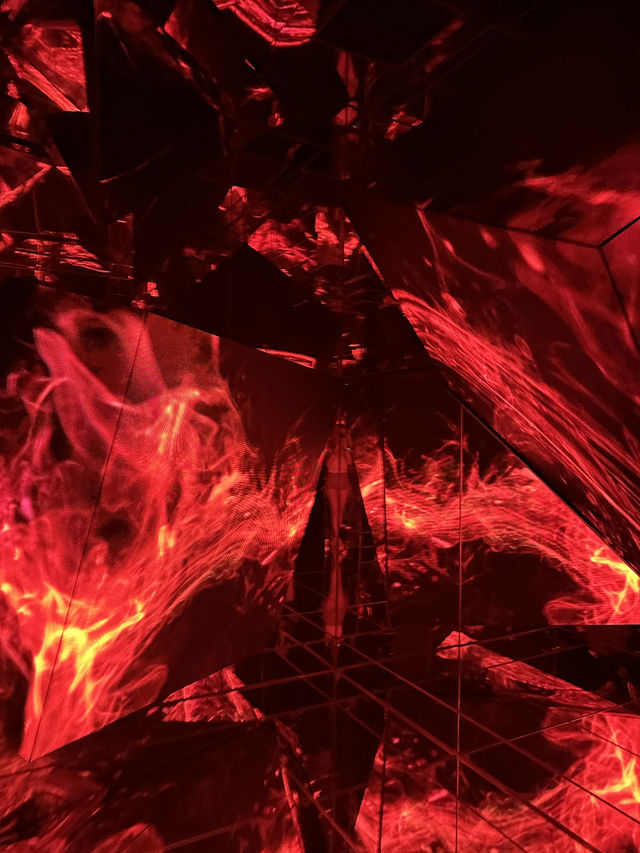 日本東京Teamlab Borderless