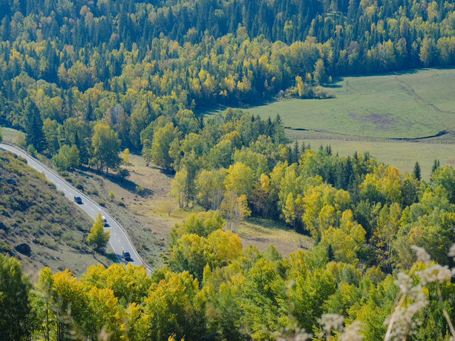 Xinjiang – Wild Blossoms Across Rugged Silk Road Landscapes