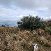 大帽山 (Tai Mo Shan)