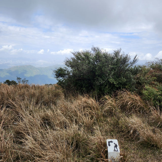 大帽山 (Tai Mo Shan)