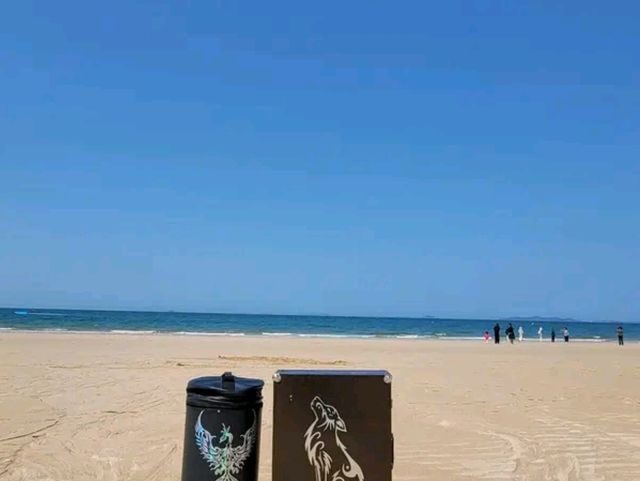 Golden Sands & Muddy Fun – Discover Daecheon Beach
