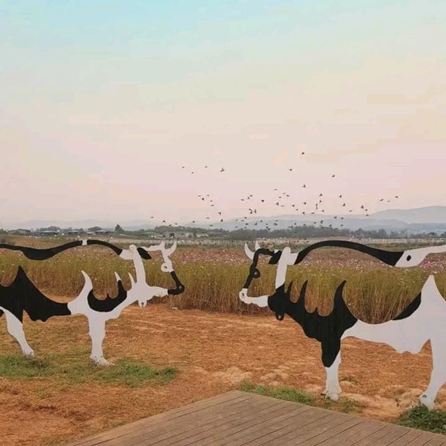 A Peaceful Day in Nature’s Embrace: Anseong Farmland