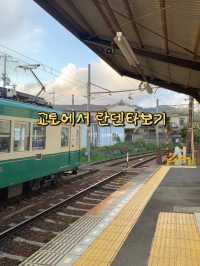 교토에서 버킷리스트 달성+1! 란덴열차타보기 🌸🚃🚂