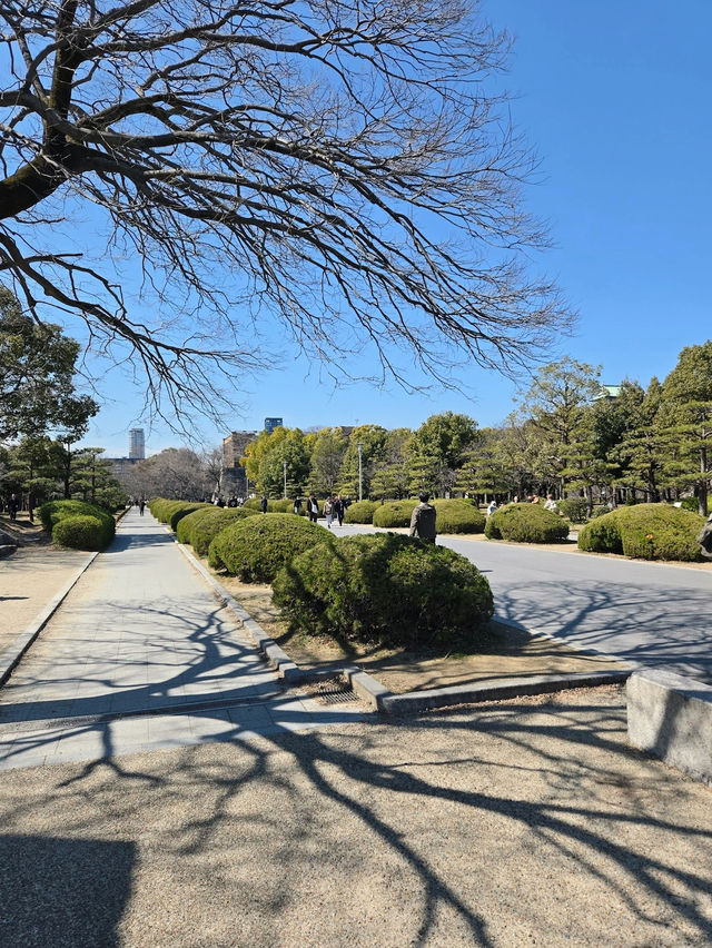 A Majestic Journey Through Time: Osaka Castle