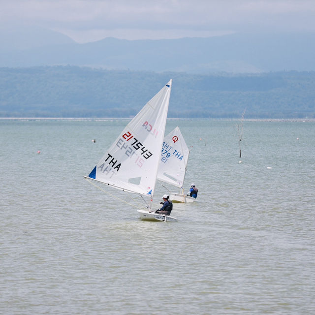 ⛵️Trat Regatta 2025 ⛵️ท่าเรือโอเชี่ยนฟร้อนท์