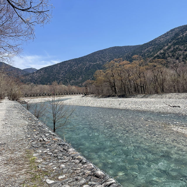 【長野】人生で一度は行きたい絶景スポット🏔️