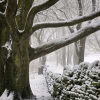 Beautiful surroundings and lots of paths leading from the public bridleway