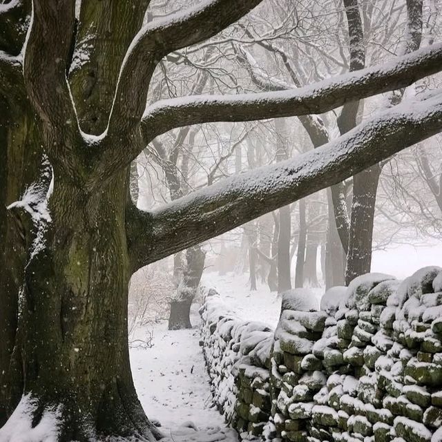 Beautiful surroundings and lots of paths leading from the public bridleway