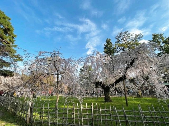 Green Spaces, Kyoto Gyoen is the Perfect Escap