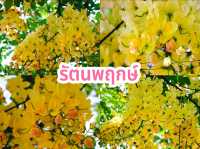 รัตนพฤกษ์