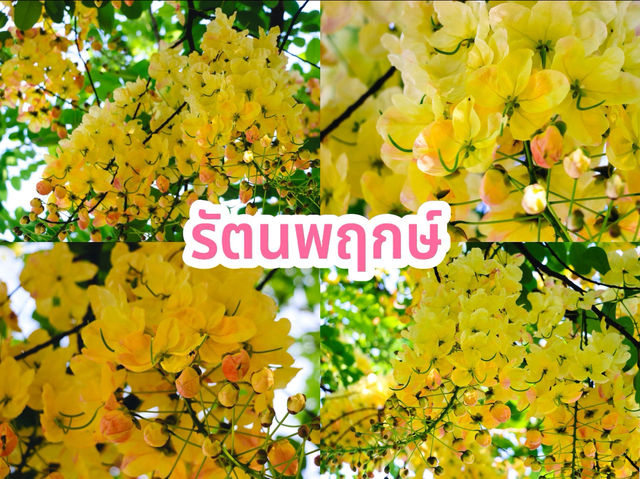 รัตนพฤกษ์