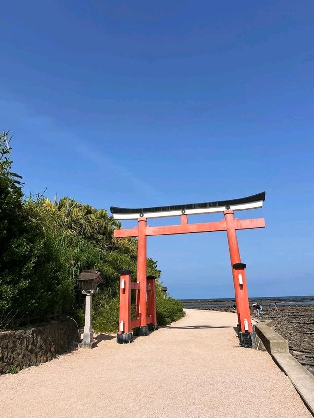 Aoshima in Spring