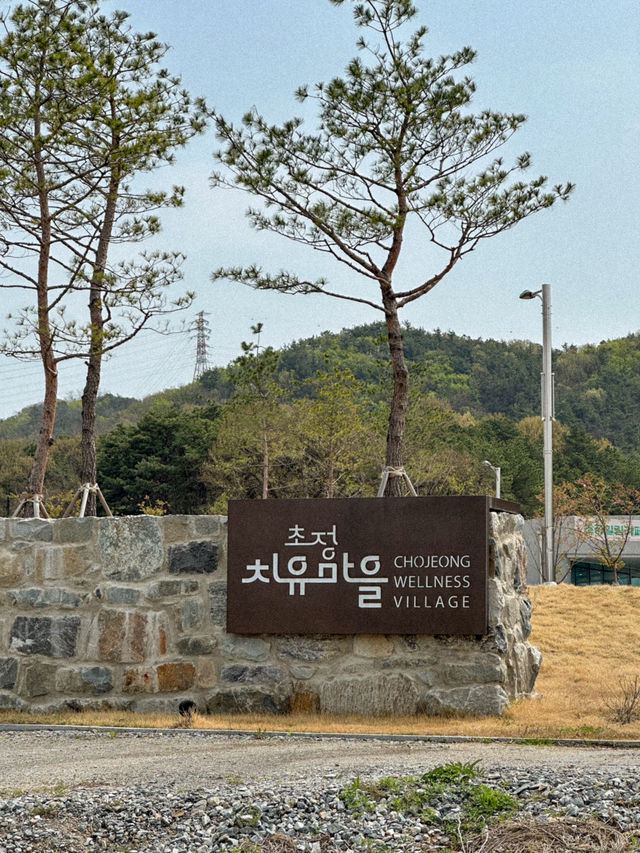 온 가족이 힐링하기 좋은 스파 추천🌊