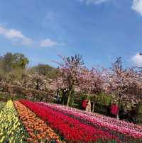 A Blooming Wonderland at Keukenhof Gardens 🌷