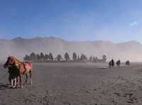 Bromo เหตุผลของการไปเกาะชวา