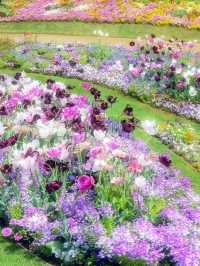 A Monet Garden in Reality: Yokohama's Satoyama Garden 🌸🌿