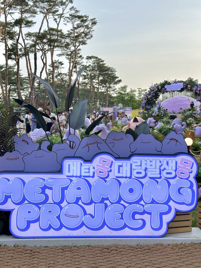 요즘한 야외데이트 장소