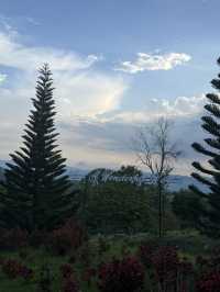 ลานกางเต็นท์ ผาย้อนตะวัน สระบุรี