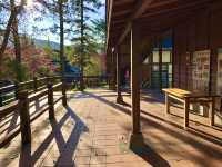Classroom Under the Cherry Trees — Neihu Primary School, Nantou