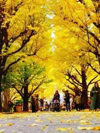知の殿堂に息づく四季と歴史 ― 東京大学キャンパス散策のすすめ