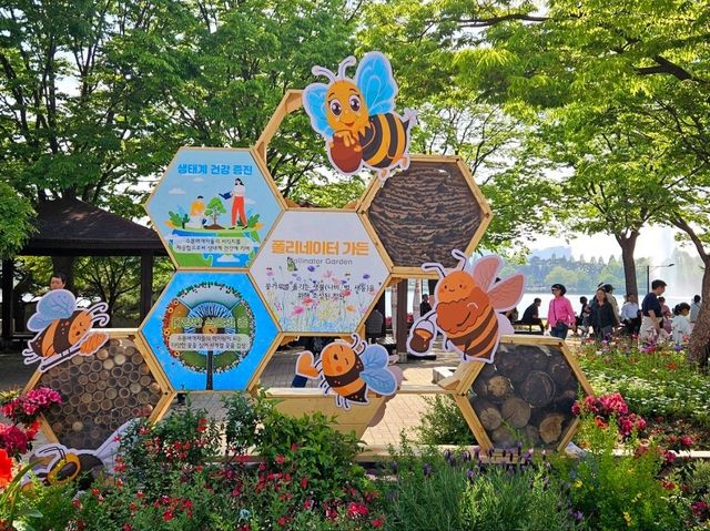 Hydrangea Garden at Ilsan Flower Festival