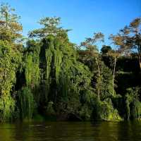 Cruisin’ the Kinabatangan River