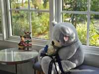 คาเฟ่สระบุรี