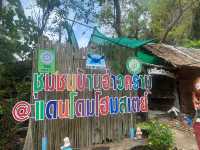 ✨ ชุมชนบ้านอ่าวคราม โฮมสเตย์ ชุมพร ✨