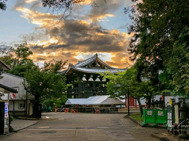 Todai-ji Temple – The Great Buddha of Nara