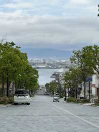 Sakura season at Hakodate 