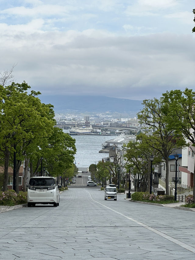 Sakura season at Hakodate 