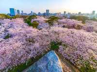 Maizuru Castle Park – A Serene Historical Escape in Kofu