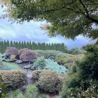 Tihiotonga Centennial Park散步探秘  🌳