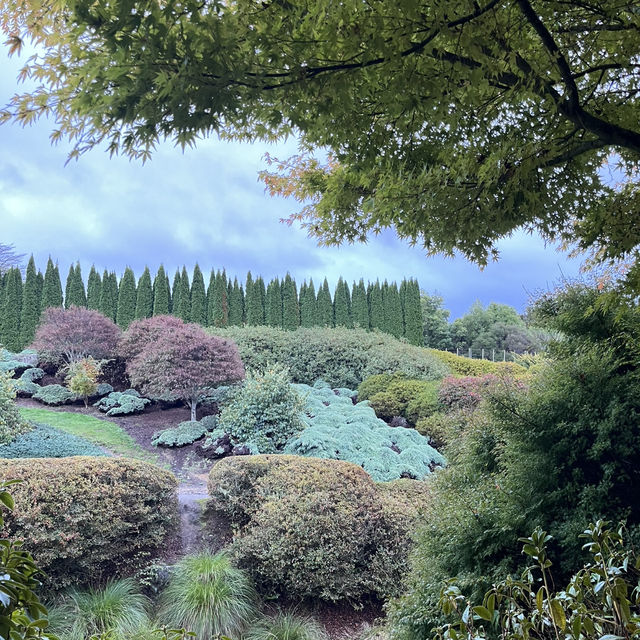 Tihiotonga Centennial Park散步探秘  🌳
