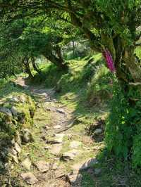 Glencar Waterfall – A Hidden Gem in County Leitrim