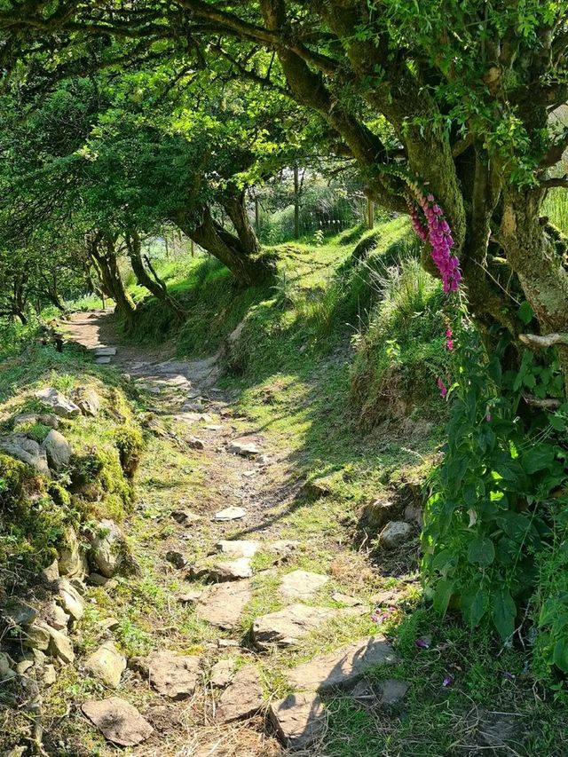Glencar Waterfall – A Hidden Gem in County Leitrim