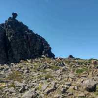 Lanín National Park – Where Volcanoes Watch Over Lakes
