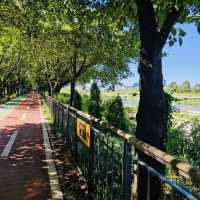 A Great Place to Walk: seongjeong Embankment Road (Songjeong Jegil)