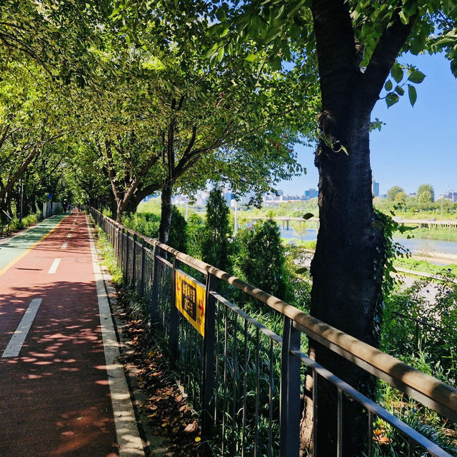 A Great Place to Walk: seongjeong Embankment Road (Songjeong Jegil)