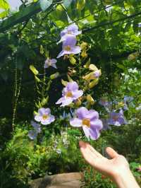 Discover 1 Utama’s Secret Garden in the Sky