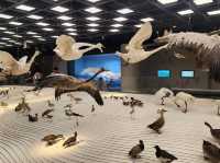 Shanghai natural history museum