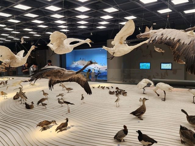Shanghai natural history museum