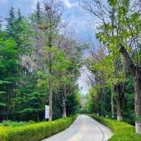 ~離塵小憩~歇馬公園~